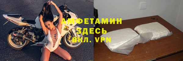 дурь Бородино