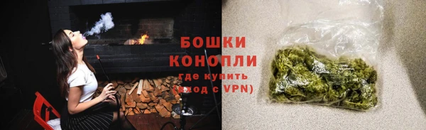 дурь Бородино