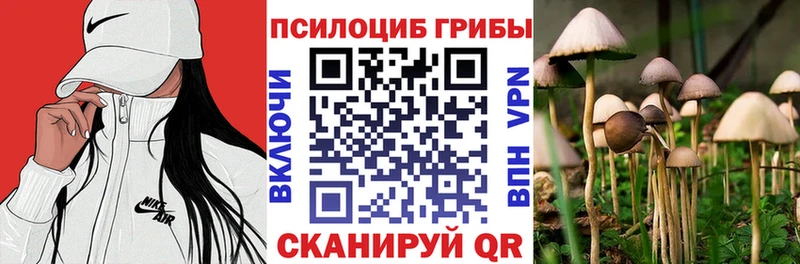 Псилоцибиновые грибы мухоморы  закладки  Новодвинск 